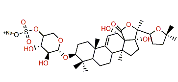 Leucospilotaside C